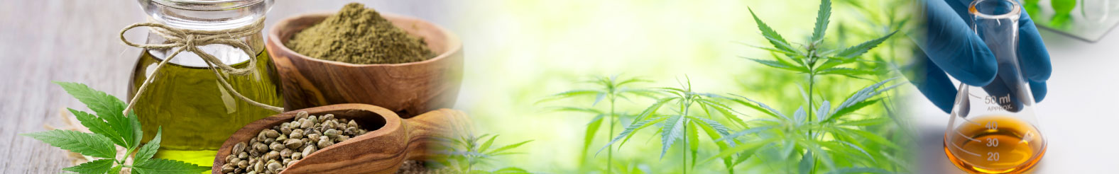 Beneficios del CBD